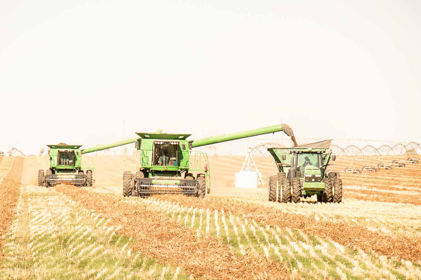 Custom Harvesting Victory Ag and Victory Farms TriCities WA